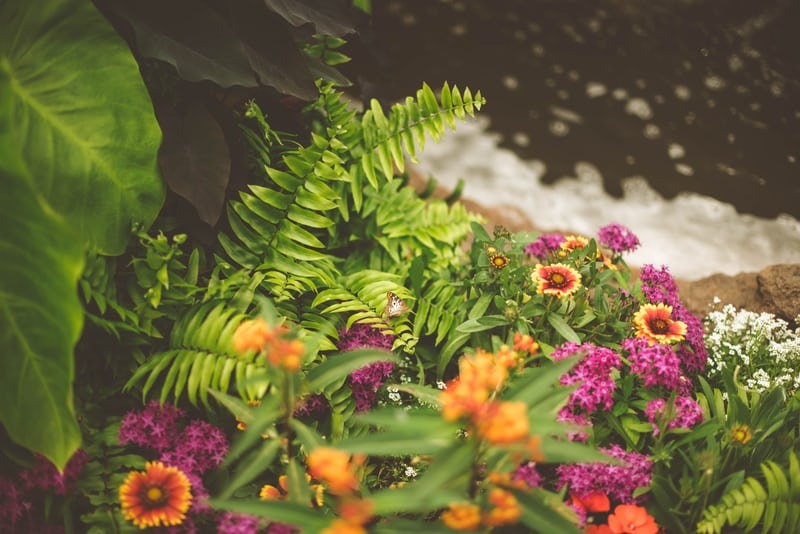 Landscaping Deals Gold Coast